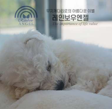 오마이사이트 여러분 감사합니다.